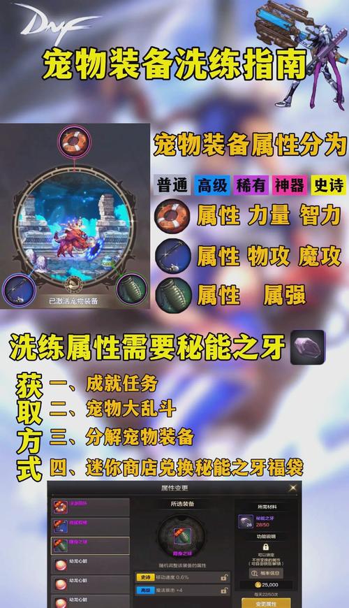 DNF宠物进化方法大全：轻松进化你的宠物