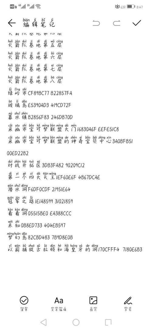 口袋妖怪珍珠金手指代码使用方法详解及注意事项