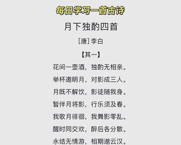 孤芳自赏歌词完整版：深夜独酌的伤感歌