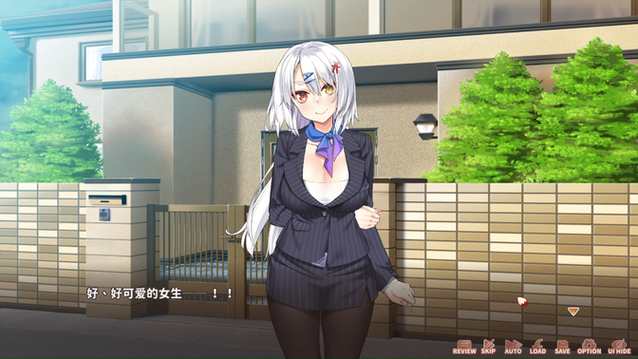 [SLG／PC／官中] 抵抗魅魔-被魔纹侵蚀的女骑士的末路 Steam官中步兵版 [2.6G]